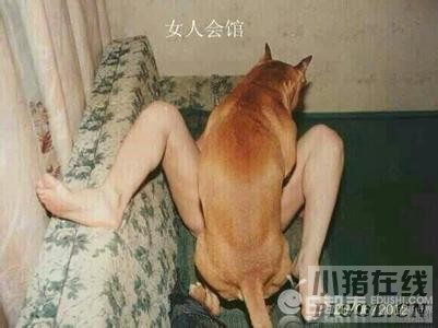 人与狗做爱
